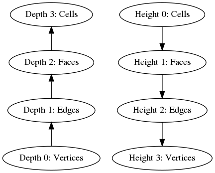 digraph G {
   d -> c -> b -> a [dir=back];
   e -> f -> g -> h;
   a [label="Depth 0: Vertices"];
   b [label="Depth 1: Edges"];
   c [label="Depth 2: Faces"];
   d [label="Depth 3: Cells"];
   e [label="Height 0: Cells"];
   f [label="Height 1: Faces"];
   g [label="Height 2: Edges"];
   h [label="Height 3: Vertices"];
}